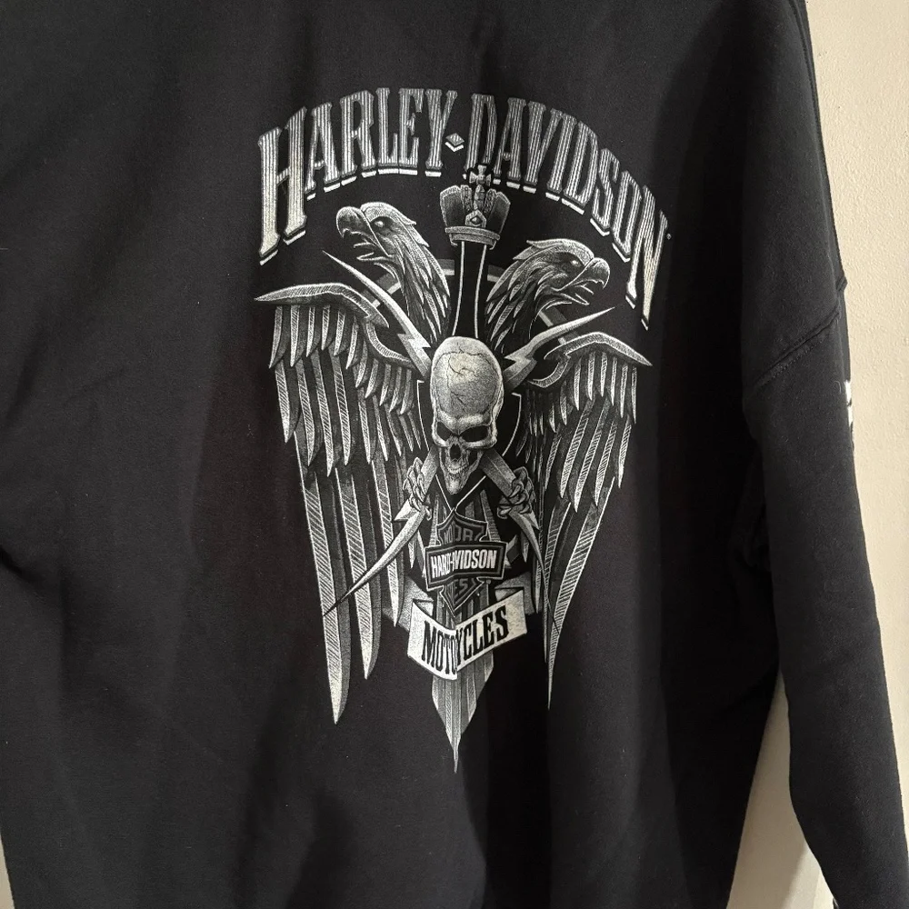 Harley-Davidson Men's Lightning Crest Pullover Hooded Sweatshirt - Picture 9 of 10